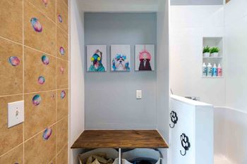 Dog spa